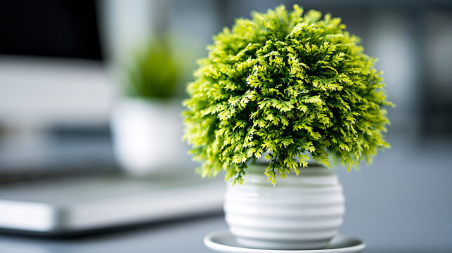 Small decorative topiary plant in a white pot on an office desk with artificial plant