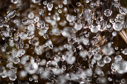 drops of water