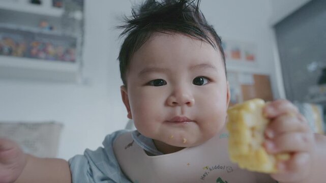 Asian baby boy eating boiled corn on high chair, BLW (baby-led weaning) concept, healthy solid food introducing to infant at home