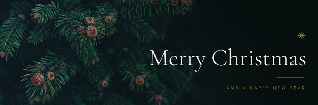 Real dark green spruce branches in a moody low key setting texture with the printed text "Merry Christmas". Pairs with a holiday christmas banner background, a luxury poster and holiday aesthetic.