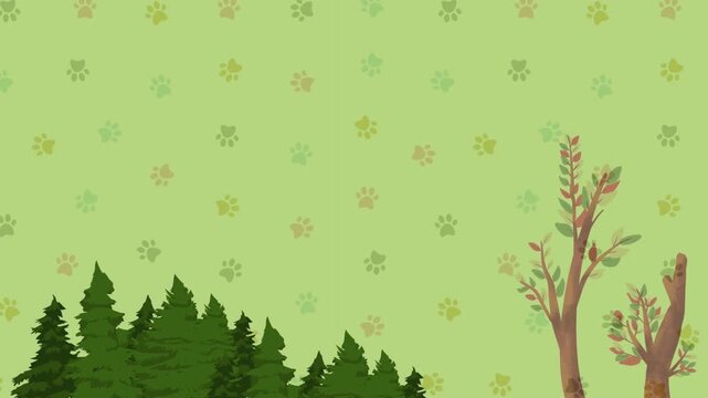 green grass background