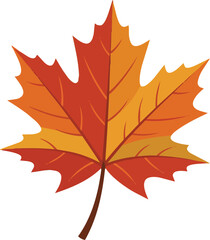 Fototapeta premium Single autumn leaf vector illustration on white background