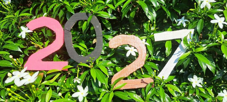 number one green grass Happy New Year 2027
