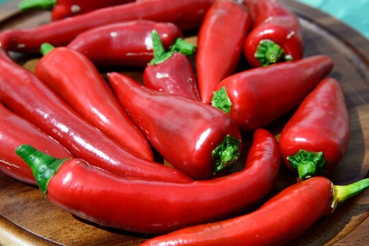Freshly picked medium heat chillies in a round wooden chopping board, Chard, Somerset, UK.