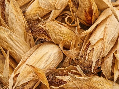Pile of dried corn husks with detailed texture and natural earthy tones.
