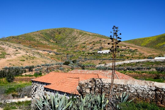 Farm buildings and surrounding countryside just outside of the town, Betancuria, Fuerteventura, Canary Islands, Spain, Europe.