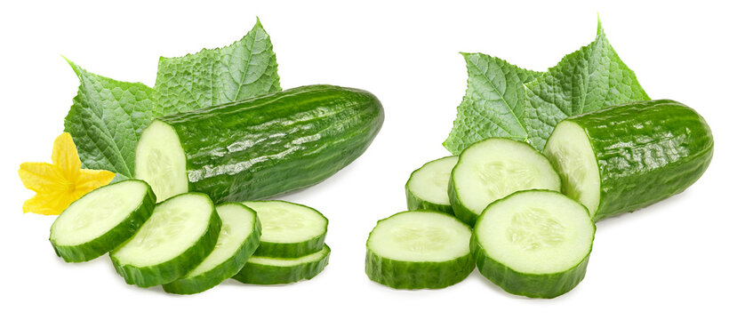 cucumber with slices and green leaves isolated on white background. clipping path
