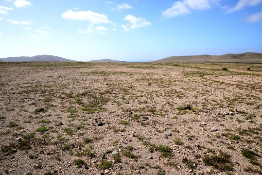 View of the flat landscape with mountains to the rear, Tefia, Fuerteventura, Canary Islands, Spain, Europe.