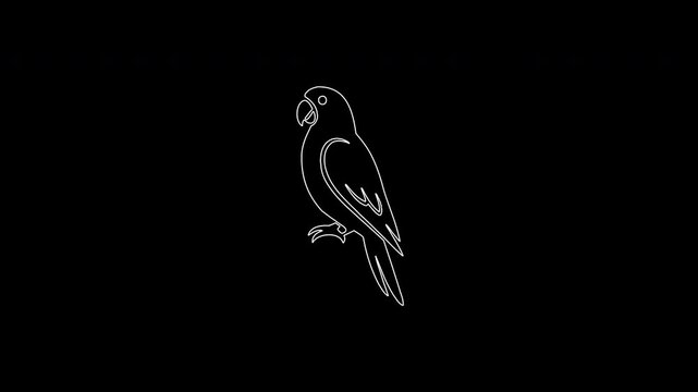 Animated white parrot line drawing on black background