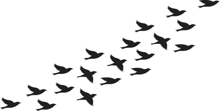 A flock of black birds flying together in a diagonal formation