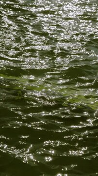 Close-up vertical motion of sunlit water surface showing dense short ripples and overlapping small wavelets with scattered specular highlights and elongated streaks