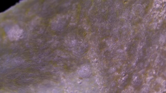 Potato chip surface texture in extreme macro close-up