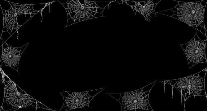 Spooky white spiderweb and cobweb border frame for halloween designs on black background with copy space