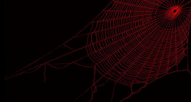 Intricate red spider web on a dark black background, a spooky and detailed natural pattern, perfect for halloween or mysterious themes