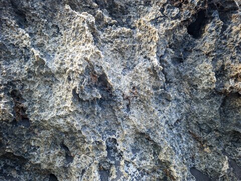 Rough porous limestone rock texture background in natural morning light