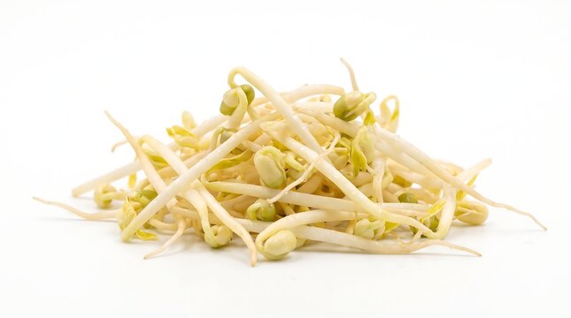 Fresh Mung Bean Sprouts Stacked Isolated on White Background