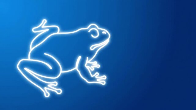 year of the horse