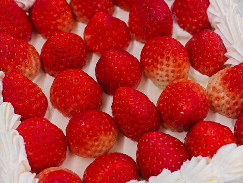 Close-up vibrant red fresh strawberries densely covering the top of a whipped cream cake