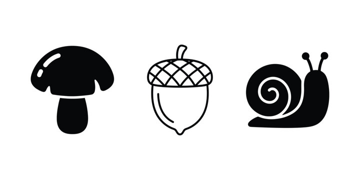 Forest nature vector icon set featuring wild edible mushroom silhouette, textured oak acorn, and crawling snail symbols.