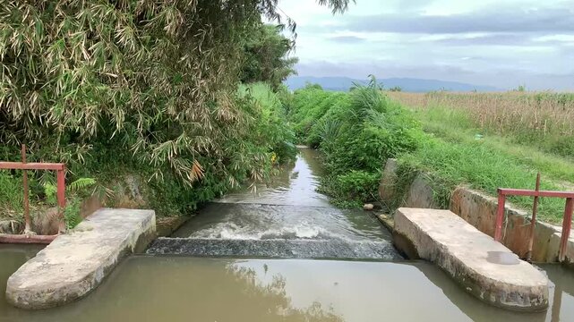 Fast water stream flowing down a concrete irrigation channel beside lush bamboo trees in North Sumatera, Indonesia. Perfect commercial background for agriculture and water supply.