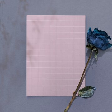 Pink grid notebook with dried blue rose on gray background