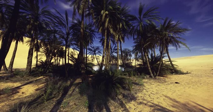golden sand bordering dense palm thicket with dramatic sky and textured dunes, strong silhouettes and fronds detail create cinematic backdrop perfect