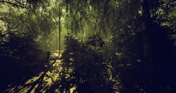 scientific botanical path winding through rich understory for specimen observation and field survey detailed foliage, damp soil and boardwalk create ideal