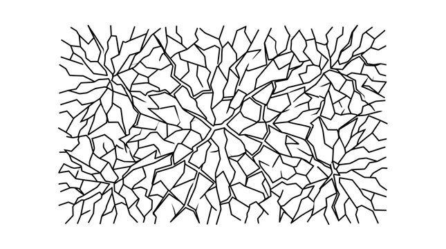 Abstract Cracked Pattern Black and White Line Art