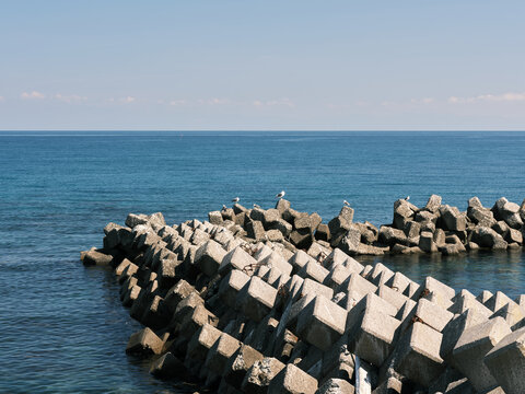 Concrete tetrapod breakwater with seagulls in a calm blue sea Hokkaido