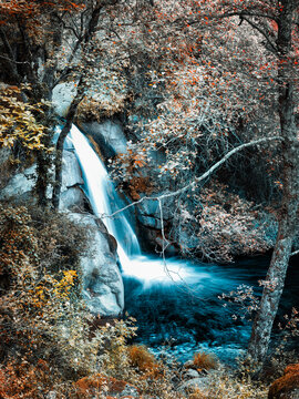 Charco de La Hoya
