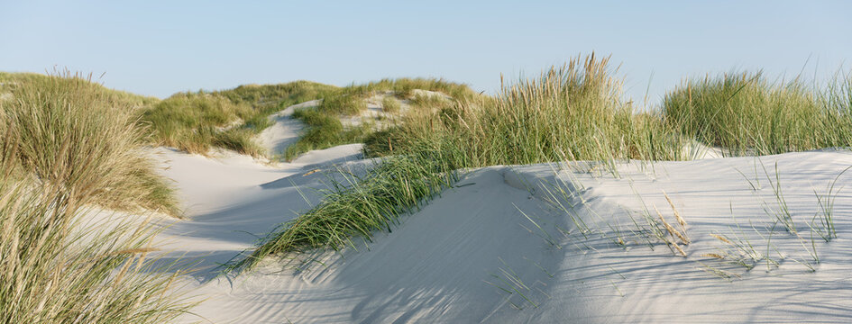 D&uuml;nenlandschaft an der Nordsee