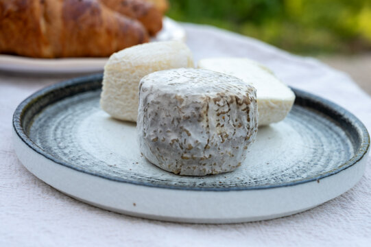 Crottin de Chavignol young and matured, small French goat cheese from Loire Valley village of Chavignol, natural rind that matures from white to bluish-grey with age in cheese farm