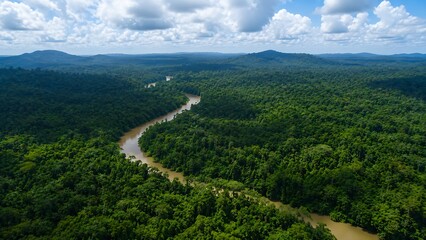 Fototapeta premium Aerial View of Tropical Forest and Winding River