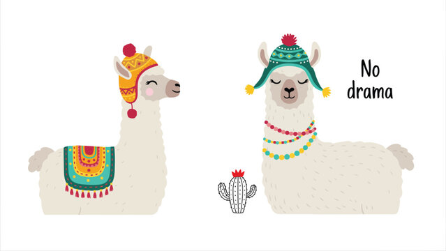 Cute Cartoon Llamas Wearing Chullo Hats with No Drama Quote Vector Set
