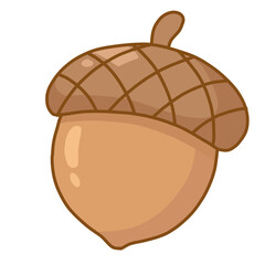 Cute acorn or oak nut autumn and forest nature element illustration © Natina