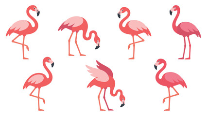 Obraz premium Pink flamingo set of cartoon birds standing in various fun poses.