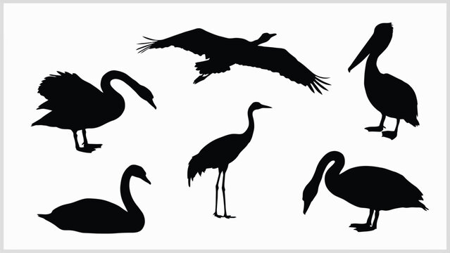 Large waterbirds black silhouettes collection featuring swans crane stork pelican and flying wild bird isolated on white background vector illustration