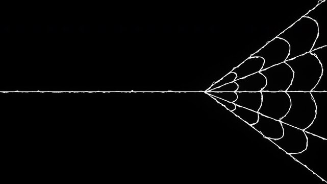 Hand drawn spider web animation appearing in corner on black background for spooky halloween graphic