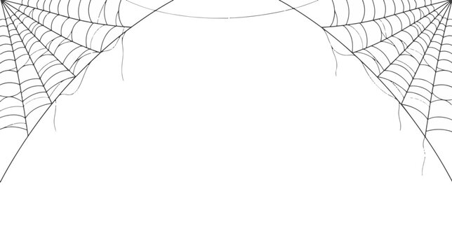 Spider Web Line Art Frame - Halloween Hand Drawn Cobweb Border Vector