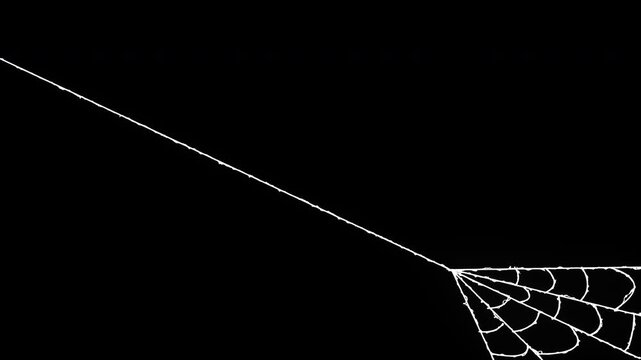 White spider web corner forming on black background for horror video compositing