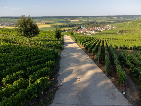 Aerial view, Cumieres and Hautvillers champagne vineyards in Marne Valley with rolling green hills, chalk terroir, summer landscape, traditional methode champenoise production.