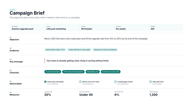 Campaign brief template with objective audience and deliverables