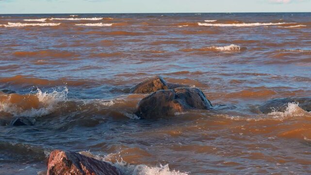Cinematic Golden Hour Light Reflecting on Ocean Waves and Rocky Shore - Warm Sunset Light Illuminating Choppy Sea Water and Coastal Boulders