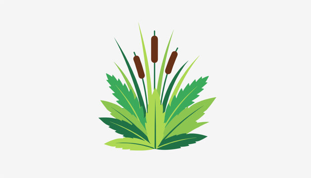 Green reeds and brown cattail plants grow in a thick cluster, shown as a simple graphic on a gray background.