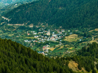 Fototapeta premium Mountain village in a forested valley with a mosque, rural homes, agricultural plots, and winding roads