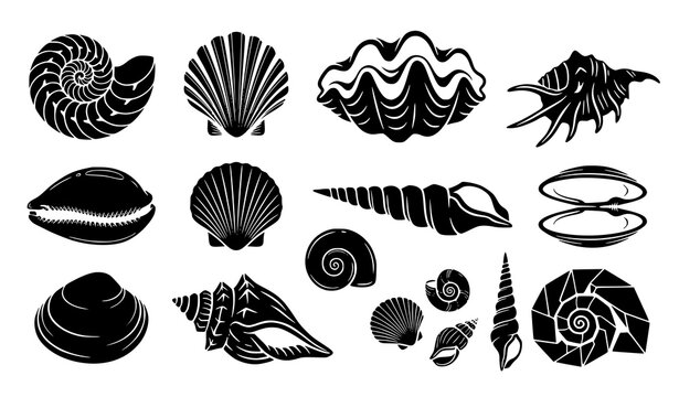 Nautilus Tridacna Spider Conch and Scallop Marine Stencil Vector Icons