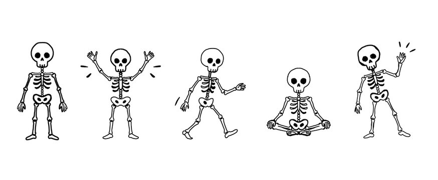 Hand drawn skeletons in different poses isolated on transparent background