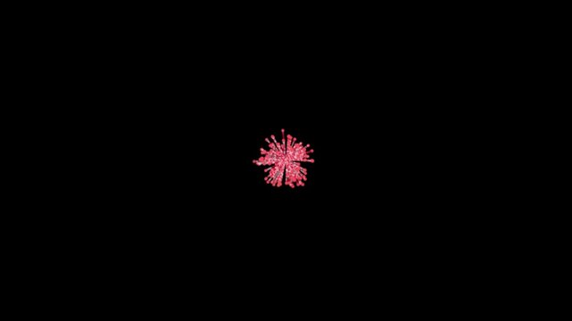 Red color fireworks exploding in the night sky, ideal for celebration videos, party visuals, and festive intros on black screen background