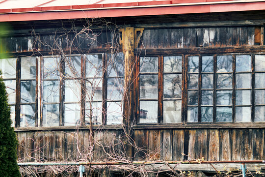 Weathered wooden building facade with vintage windows and climbing vines in sunlight