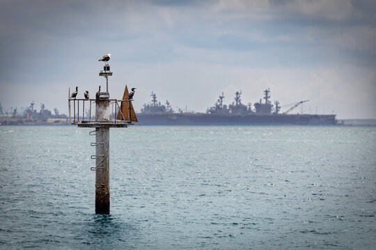 Harbor View